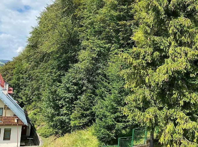 Accommodatie bij particulieren Carmen